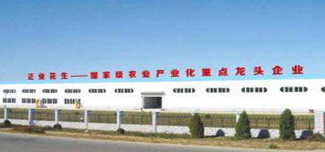 遼寧正業(yè)花生產業(yè)：共抗疫情，龍頭企業(yè)顯擔當！