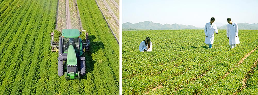 遼寧正業(yè)花生產(chǎn)業(yè)：共抗疫情，龍頭企業(yè)顯擔(dān)當(dāng)！(圖3)