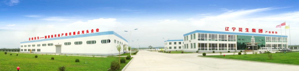 葫蘆島市委常委、副市長張明謙蒞臨遼寧花生集團考察指導(dǎo)(圖3)